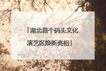 湖北首个码头文化演艺区焕新亮相