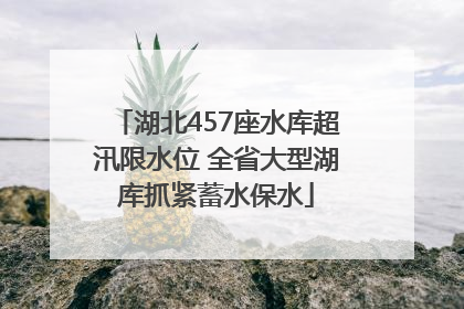 湖北457座水库超汛限水位 全省大型湖库抓紧蓄水保水
