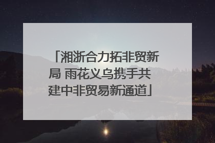 湘浙合力拓非贸新局 雨花义乌携手共建中非贸易新通道