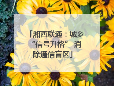 湘西联通：城乡“信号升格” 消除通信盲区