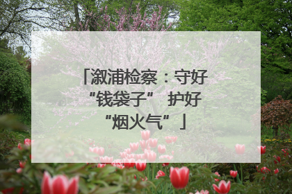 溆浦检察：守好“钱袋子” 护好“烟火气”