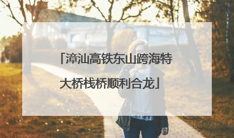 漳汕高铁东山跨海特大桥栈桥顺利合龙