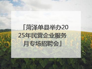 菏泽单县举办2025年民营企业服务月专场招聘会