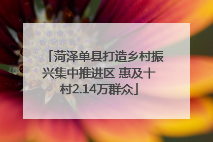 菏泽单县打造乡村振兴集中推进区 惠及十村2.14万群众