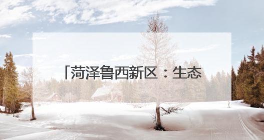菏泽鲁西新区：生态治理赋能乡村“颜值”“产值”双提升