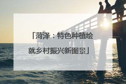 菏泽：特色种植绘就乡村振兴新图景