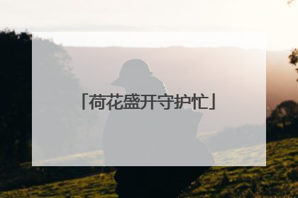 荷花盛开守护忙