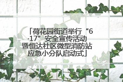 荷花园街道举行“6·17”安全宣传活动暨恒达社区微型消防站应急小分队启动式