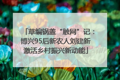 草编锅盖“触网”记：博兴95后新农人刘建新激活乡村振兴新动能