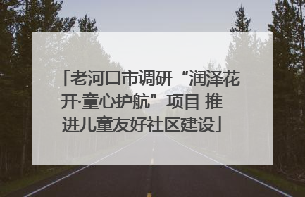 老河口市调研“润泽花开·童心护航”项目 推进儿童友好社区建设