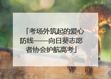 考场外筑起的爱心防线——向日葵志愿者协会护航高考