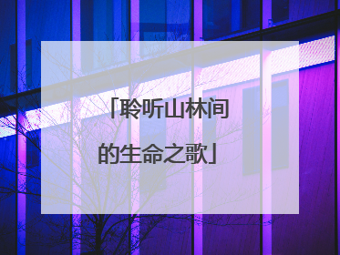 聆听山林间的生命之歌