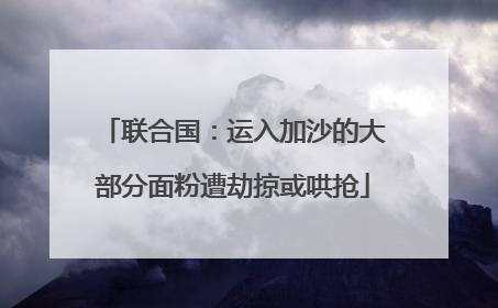 联合国：运入加沙的大部分面粉遭劫掠或哄抢