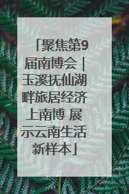 聚焦第9届南博会｜玉溪抚仙湖畔旅居经济上南博 展示云南生活新样本