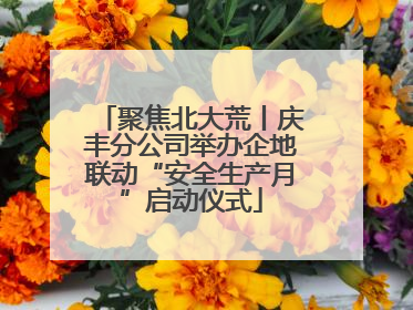 聚焦北大荒丨庆丰分公司举办企地联动“安全生产月”启动仪式