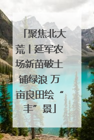 聚焦北大荒丨延军农场新苗破土铺绿浪 万亩良田绘“丰”景
