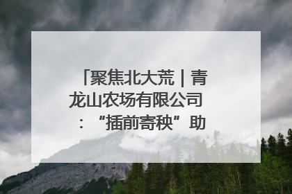 聚焦北大荒｜青龙山农场有限公司：“插前寄秧”助力农业节本增效