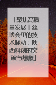 聚焦高质量发展丨丝博会里的技术脉动：陕西科创的突破与想象