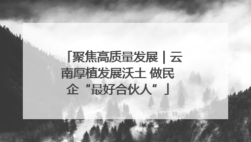 聚焦高质量发展｜云南厚植发展沃土 做民企“最好合伙人”