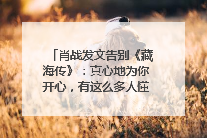 肖战发文告别《藏海传》：真心地为你开心，有这么多人懂你，导演回应“是否有第二季”