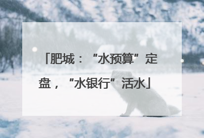 肥城：“水预算”定盘，“水银行”活水