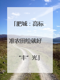 肥城：高标准农田绘就好“丰”光