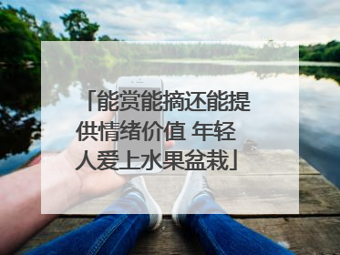 能赏能摘还能提供情绪价值 年轻人爱上水果盆栽