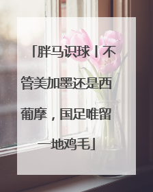 胖马识球丨不管美加墨还是西葡摩，国足唯留一地鸡毛