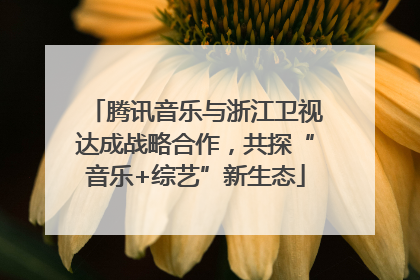 腾讯音乐与浙江卫视达成战略合作，共探“音乐+综艺”新生态