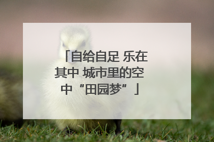 自给自足 乐在其中 城市里的空中“田园梦”