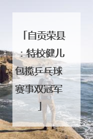 自贡荣县：特校健儿包揽乒乓球赛事双冠军