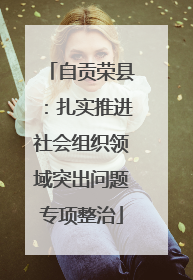自贡荣县：扎实推进社会组织领域突出问题专项整治