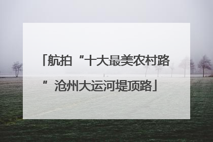 航拍“十大最美农村路”沧州大运河堤顶路