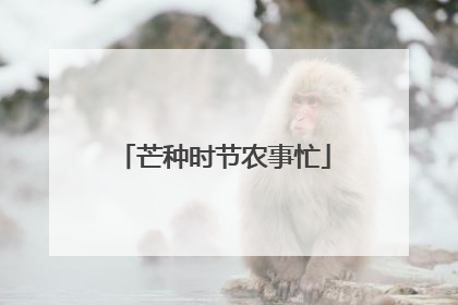 芒种时节农事忙