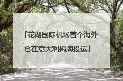 花湖国际机场首个海外仓在意大利揭牌投运