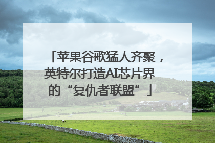 苹果谷歌猛人齐聚，英特尔打造AI芯片界的“复仇者联盟”