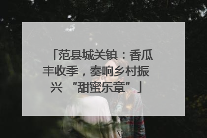 范县城关镇：香瓜丰收季，奏响乡村振兴 “甜蜜乐章”