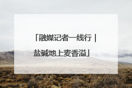 融媒记者一线行｜盐碱地上麦香溢
