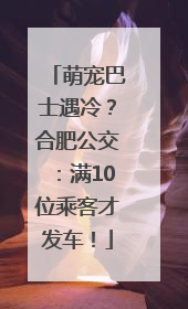 萌宠巴士遇冷？合肥公交：满10位乘客才发车！