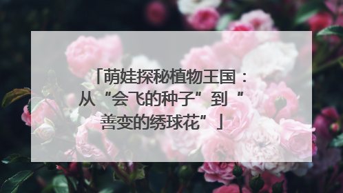 萌娃探秘植物王国：从“会飞的种子”到“善变的绣球花”