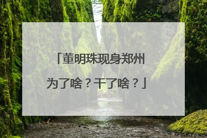 董明珠现身郑州 为了啥？干了啥？