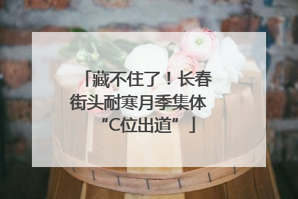 藏不住了！长春街头耐寒月季集体“C位出道”