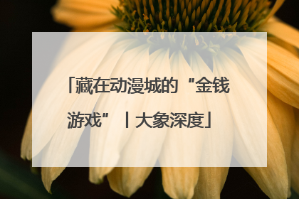 藏在动漫城的“金钱游戏”丨大象深度