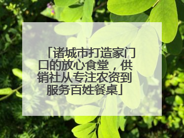 诸城市打造家门口的放心食堂，供销社从专注农资到服务百姓餐桌