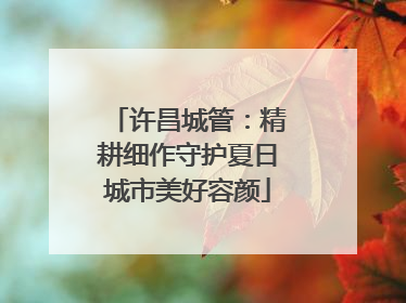 许昌城管：精耕细作守护夏日城市美好容颜