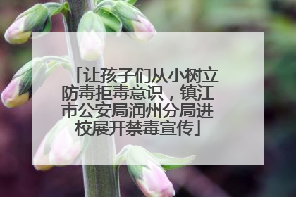 让孩子们从小树立防毒拒毒意识，镇江市公安局润州分局进校展开禁毒宣传