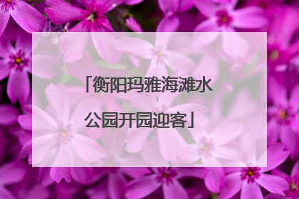 衡阳玛雅海滩水公园开园迎客