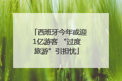 西班牙今年或迎1亿游客 “过度旅游”引担忧