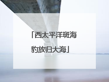西太平洋斑海豹放归大海
