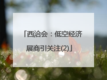 西洽会：低空经济展商引关注(2)